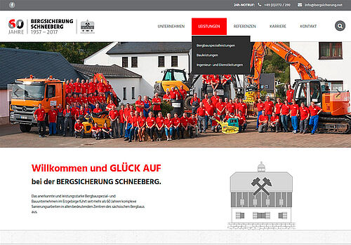Webdesign Schneeberg