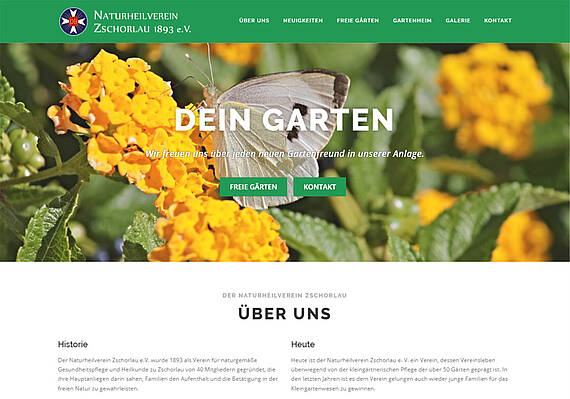 Webdesign Zschorlau