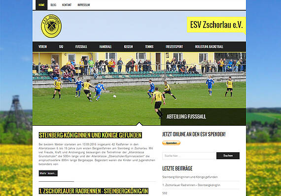 Webdesign Zschorlau