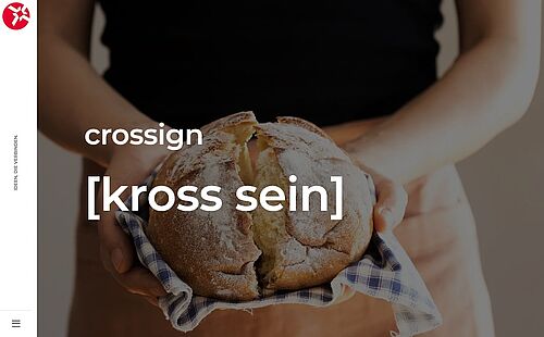 Webdesign Dresden