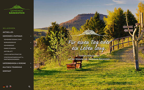 Webdesign Bärenstein