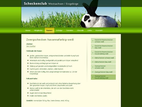 Webdesign 